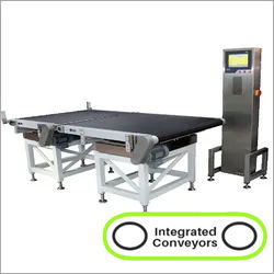 Online Check Weigher Belt Conveyor