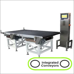 Online Check weigher Belt Conveyor