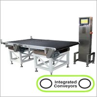 Gray Online Check Weigher Belt Conveyor