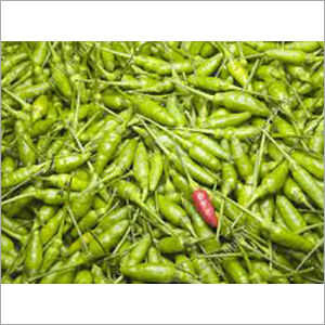 Green Chilli