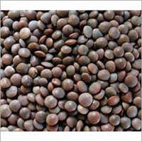 Organic Black Masoor Dal - Whole, Natural Color | 99% Purity, 6 Months Shelf Life, Common Cultivation Type, Exported Worldwide Online