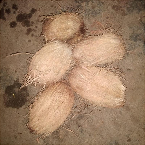 Brown Semi Husked Coconut