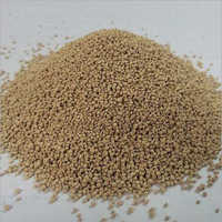 L Lysine