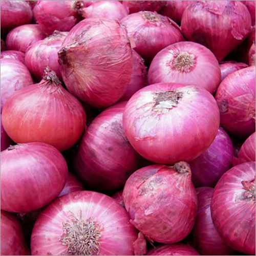 Red Onion