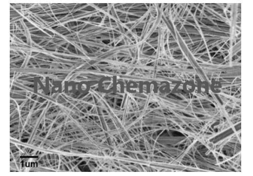 Hydroxyapatite Nanowire