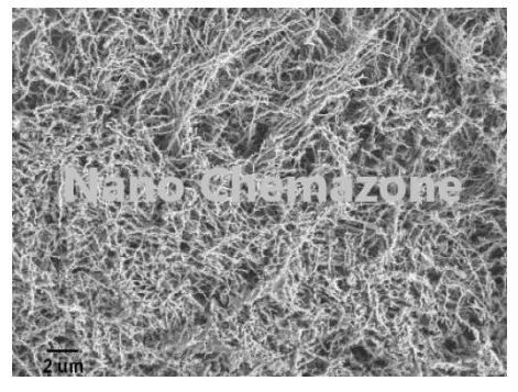 Iron Nanowires