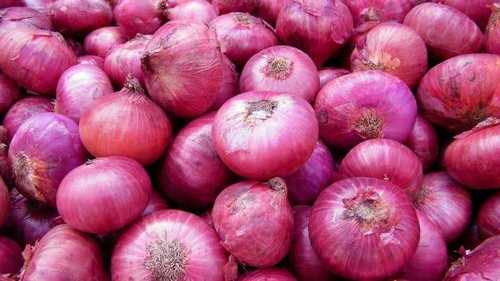 Pro Export - Organic Fresh Pinkish Red Onions 55+ Size | High-Quality Natural Produce, Ideal for Culinary Excellence