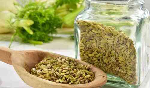 Fennel Seeds