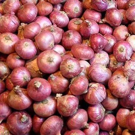 Onion