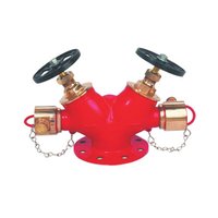 Double Headed Hydrant Valve Application: Fire Fighting