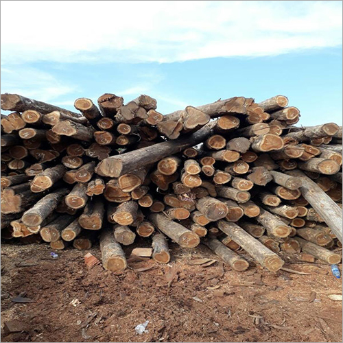 Smooth Edges Teak Wood Log
