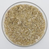 4-Aminoacetophenone powder cas 99-92-3