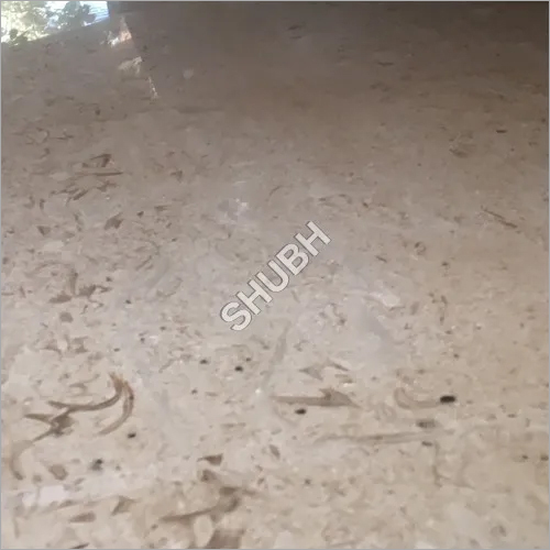 D-Martino Italian Marble - Customized Slabs, Polished Finish, Thickness 16 to 20mm, Elegant Marble for Flooring, Countertops, Stairs & Bathrooms