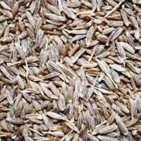 Organic Cumins