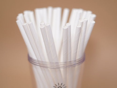 Bamboo Design Paper Straw