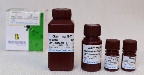 Gamma GT (Liquid)