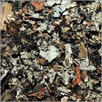 Black Stone Flower Shelf Life: Up To 12 Months