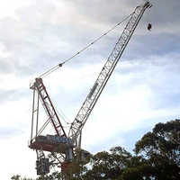 Crane Repairing Services