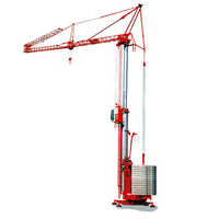 Self Erecting Construction Crane