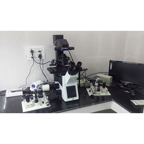 Scientific Microscopes