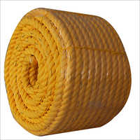 PP Danline Twisted Rope