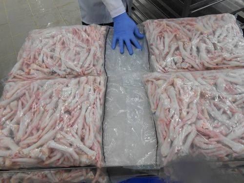 FROZEN Chicken Feet and Oher Parts Export Worldwide