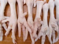 Halal Frozen Chicken Feet PAWS Brazil Supplier