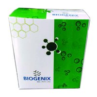 Bilirubin Direct (Liquid)