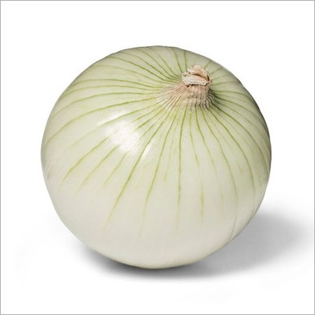 White Onion Moisture (%): 100%