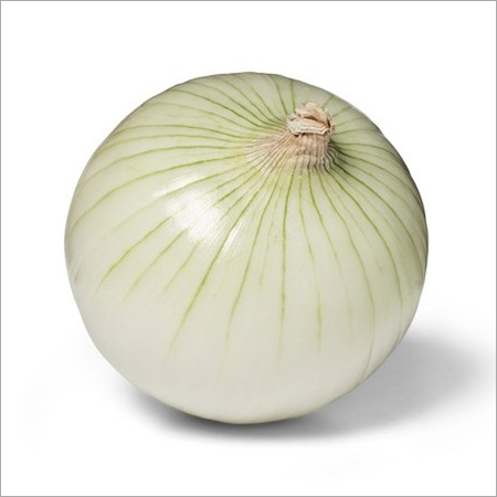 White Onion Moisture (%): 100%, Price Range 30 - 35 /- per kg INR/Ton | ID:  c5569305