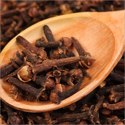 Seed Black Clove