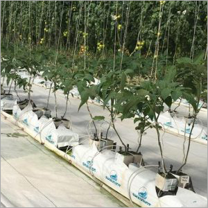 White Open Top Grow Bag