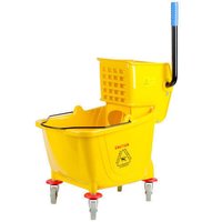 Blue Wringer Trolley