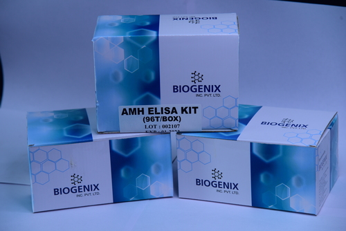 AMH (Anti mullerian Hormone) ELISA Kit