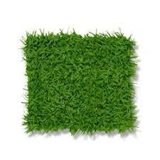 Grass Mat