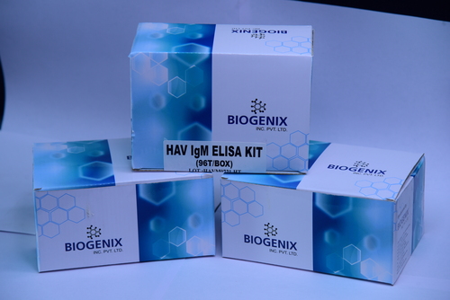 Hepatitis A Virus IgM (HAV IgM) ELISA Kit