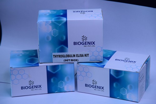 Thyroglobulin ELISA Kit