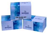 Thyroid Hormones- TSH ELISA Kit