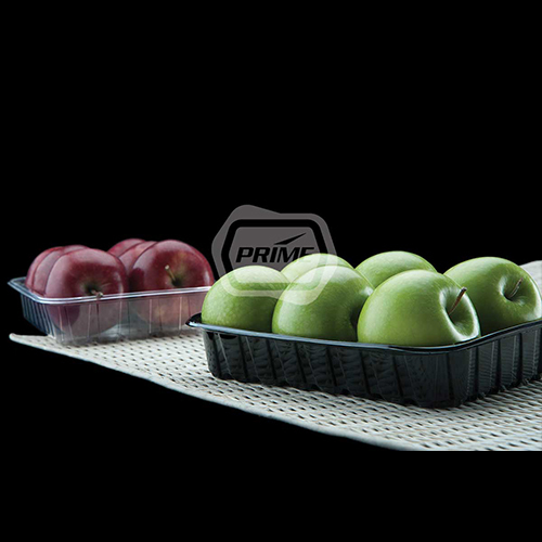 Apple Packaging Tray By AVI GLOBAL PLAST PVT. LTD.