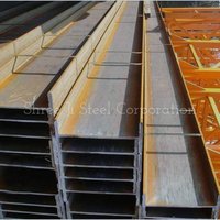 RS Joist