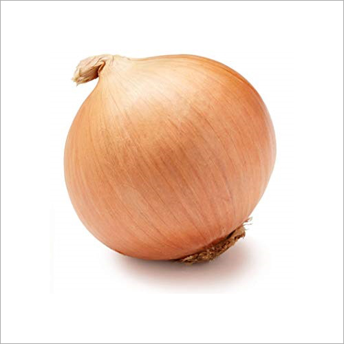 White Onion Shelf Life: 2-3 Week