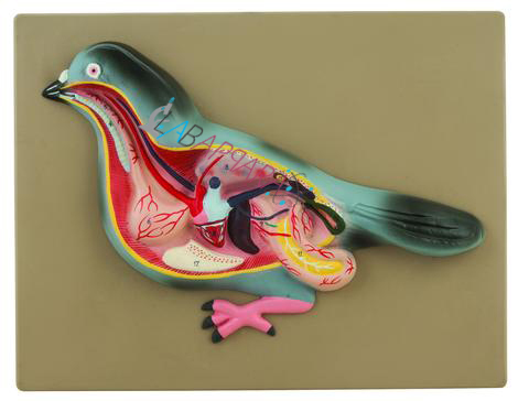 Fibre Glass Model Of Pigeon Labappara