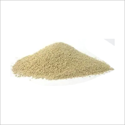 Yeast Powder - Fine Beige Powder Water-soluble Moisture <5% | Boosts Growth Complete Nutrition Enhances Fertility Improves Immunity Muscle Growth
