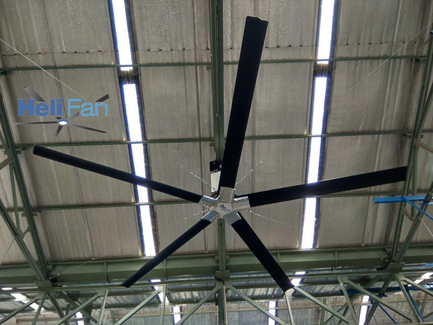 HVLS Fans