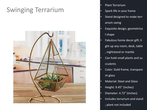 Swinging Decorative Terrarium