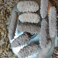 Canned Cucumber/ Sea Cucumbers/100% Natural/ Canned Vegetable