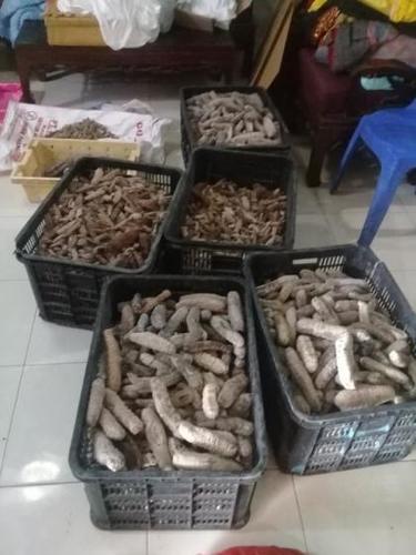 Sea Cucumber Best Quality 95% Dry