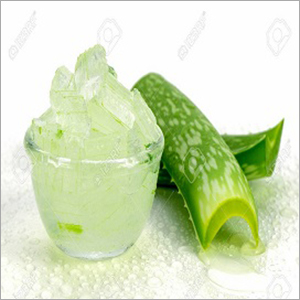 Fresh Aloe Vera Cube
