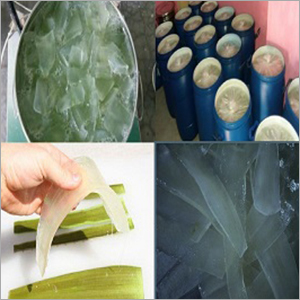 Natural Aloe Vera Pulp