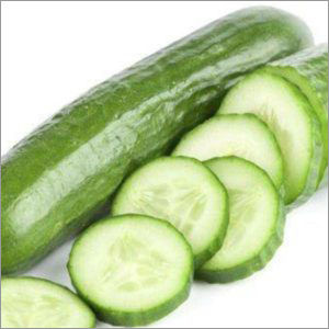 Fresh Cucumber